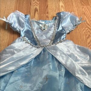 Disney Blue and Silver Theater Princess Costume